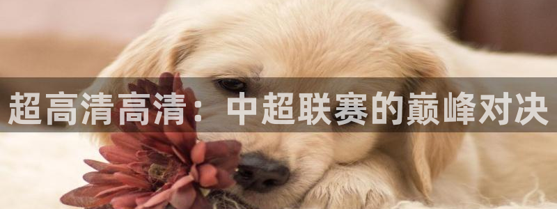 超高清高清：中超联赛的巅峰对决