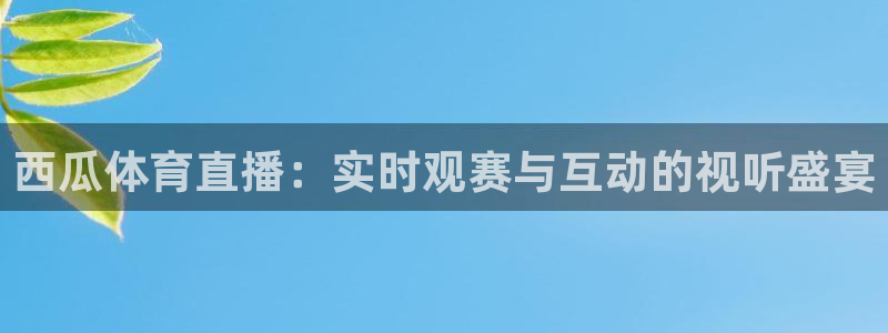 西瓜体育直播：实时观赛与互动的视听盛宴